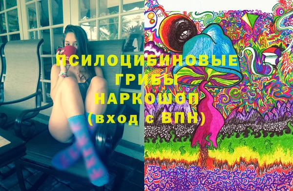 кокс Баксан