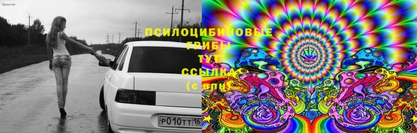 хмурый Балабаново